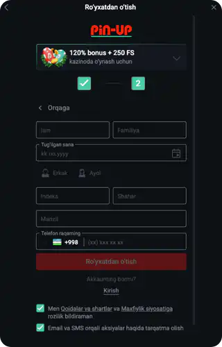 Pin-Up APK Ro'yxatdan o'tishni yakunlash uchun barcha maydonlarni to'ldirishingiz kerak